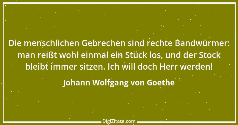 Zitat von Johann Wolfgang von Goethe 1824