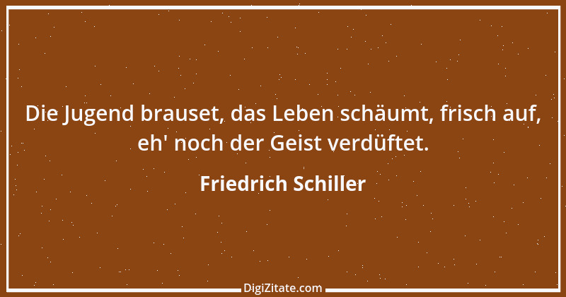 Zitat von Friedrich Schiller 223