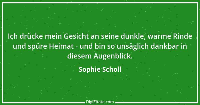 Zitat von Sophie Scholl 3