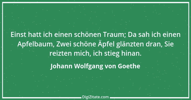 Zitat von Johann Wolfgang von Goethe 3707