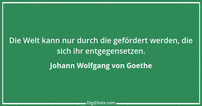 Zitat von Johann Wolfgang von Goethe 707