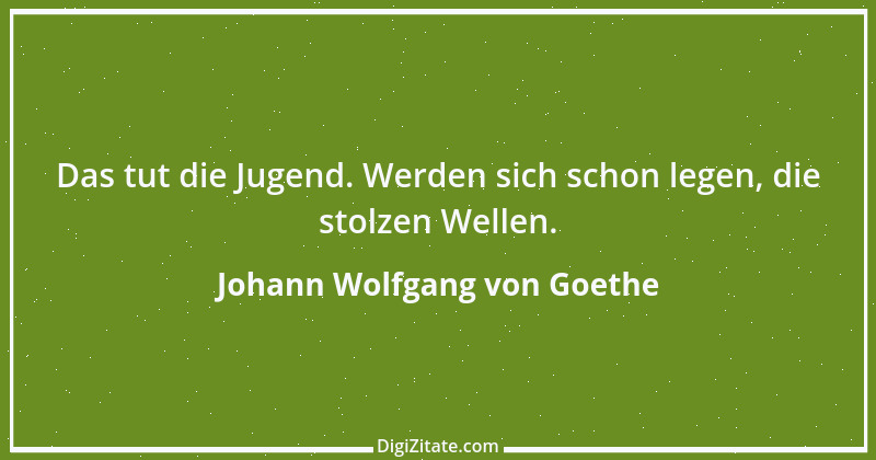 Zitat von Johann Wolfgang von Goethe 2709