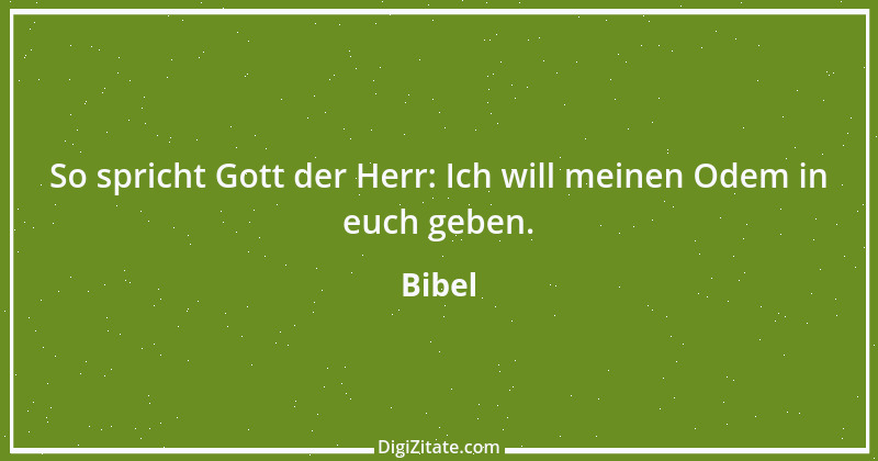 Zitat von Bibel 745