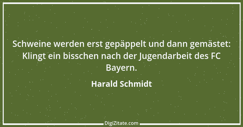 Zitat von Harald Schmidt 28