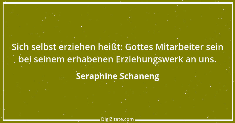 Zitat von Seraphine Schaneng 1