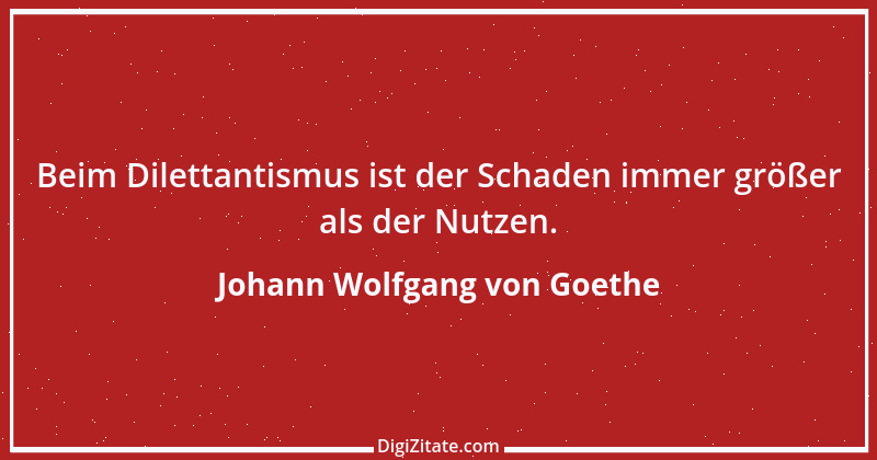 Zitat von Johann Wolfgang von Goethe 711