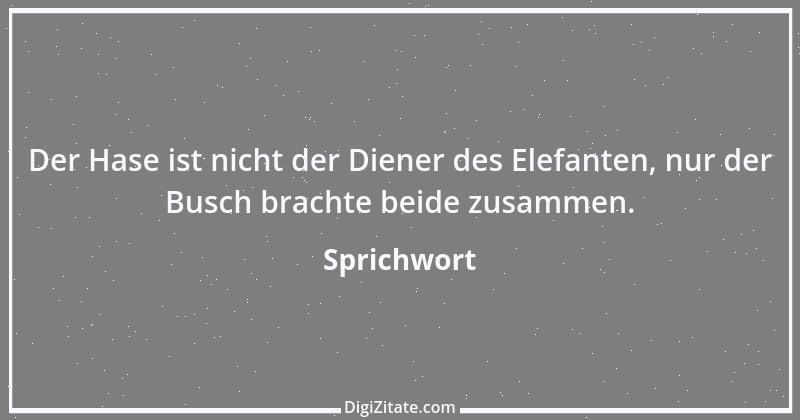 Zitat von Sprichwort 7703