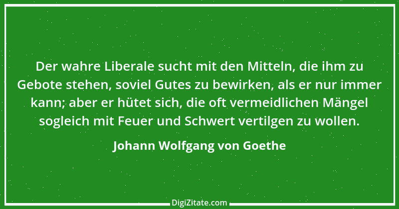 Zitat von Johann Wolfgang von Goethe 3713