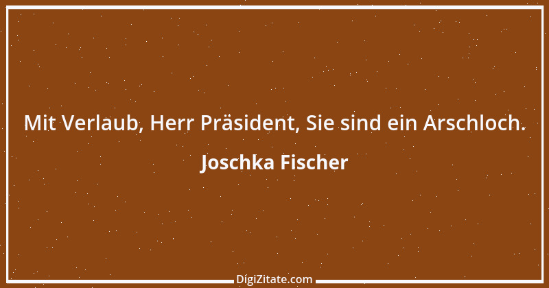 Zitat von Joschka Fischer 6