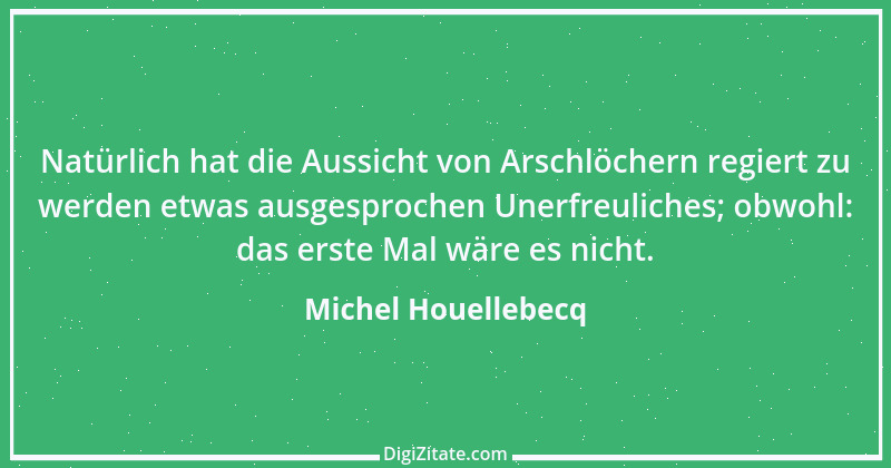 Zitat von Michel Houellebecq 10