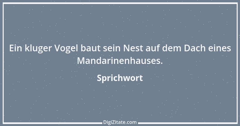 Zitat von Sprichwort 12709