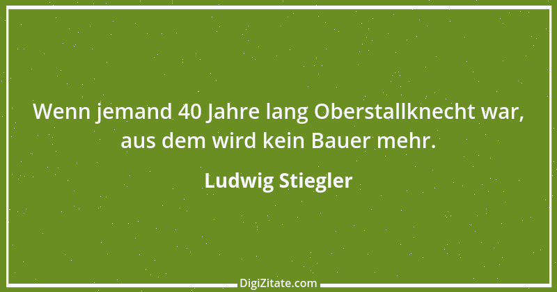 Zitat von Ludwig Stiegler 8