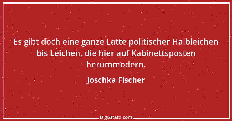 Zitat von Joschka Fischer 10