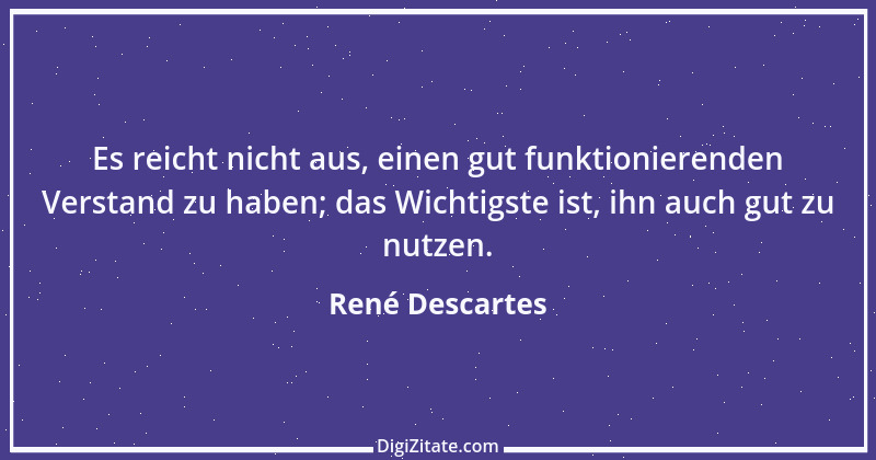 Zitat von René Descartes 14