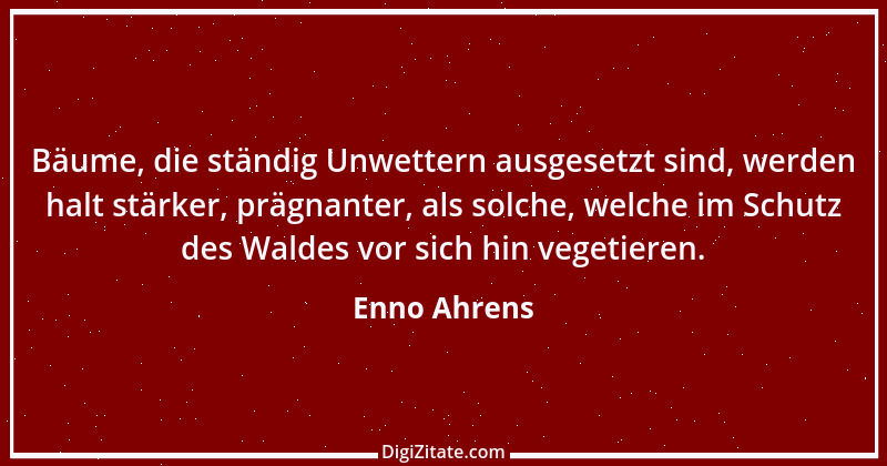 Zitat von Enno Ahrens 16