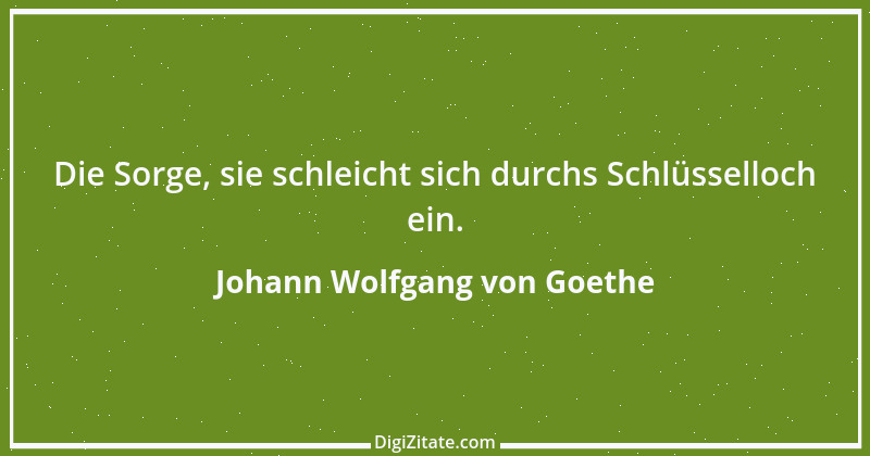 Zitat von Johann Wolfgang von Goethe 722