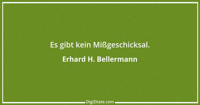 Zitat von Erhard H. Bellermann 237