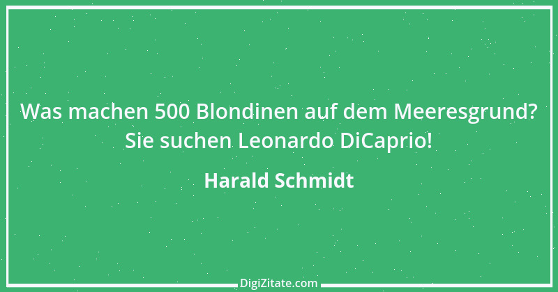 Zitat von Harald Schmidt 41