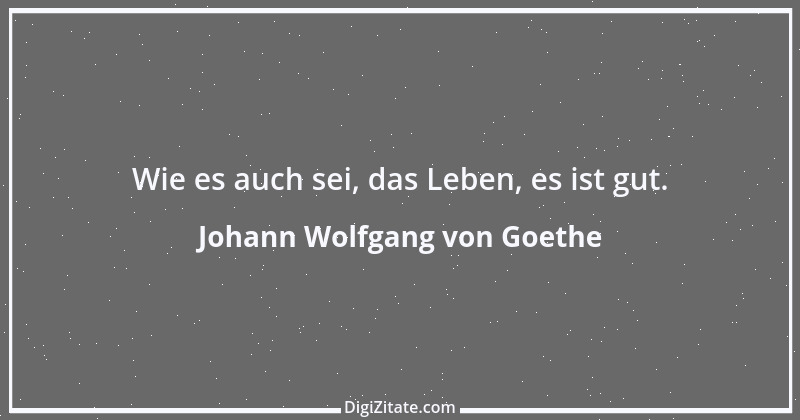 Zitat von Johann Wolfgang von Goethe 3723