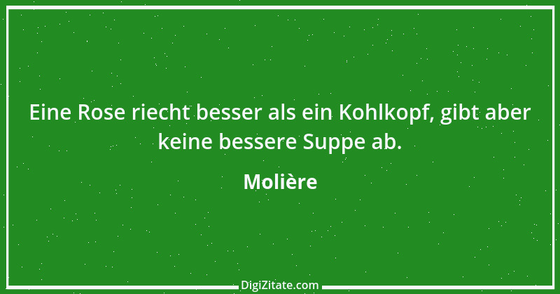 Zitat von Molière 126