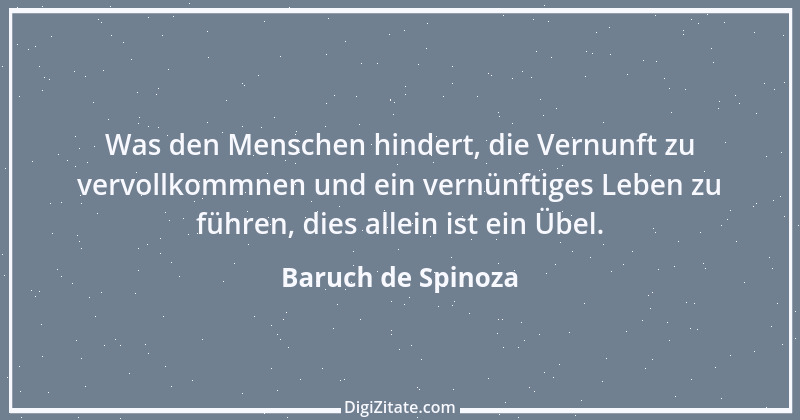 Zitat von Baruch de Spinoza 93