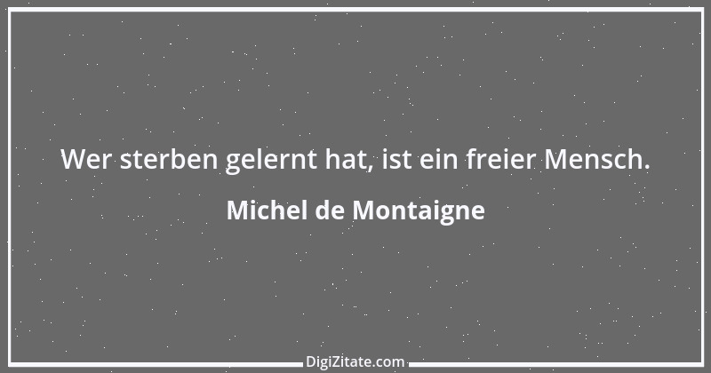 Zitat von Michel de Montaigne 412