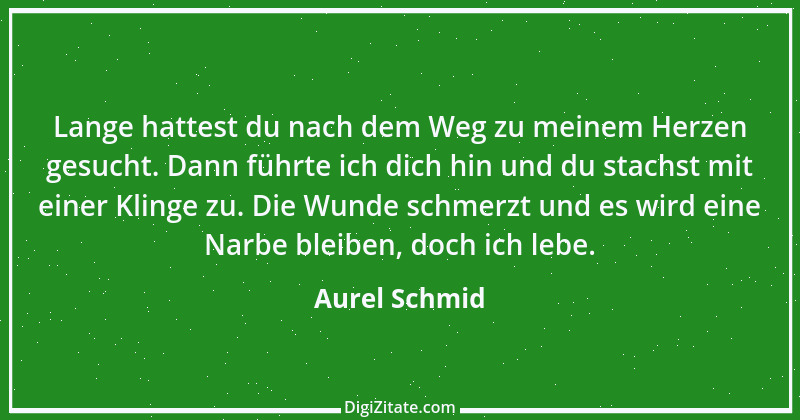 Zitat von Aurel Schmid 4