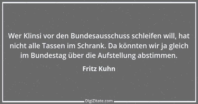 Zitat von Fritz Kuhn 1