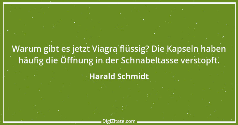 Zitat von Harald Schmidt 43