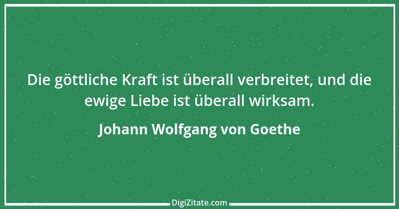 Zitat von Johann Wolfgang von Goethe 725