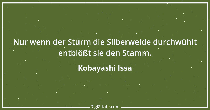 Zitat von Kobayashi Issa 2